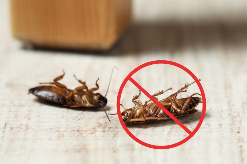 Cockroach Fumigation Service